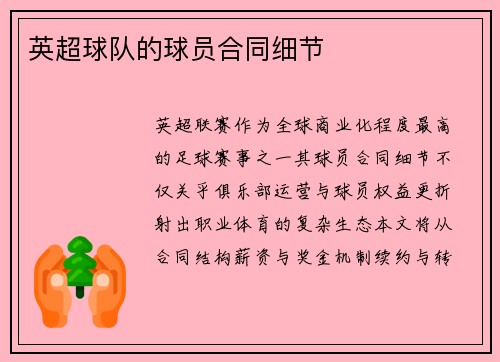英超球队的球员合同细节