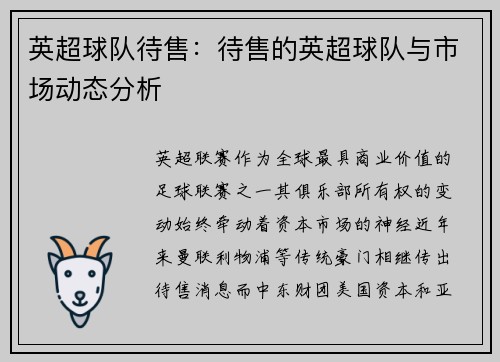 英超球队待售：待售的英超球队与市场动态分析