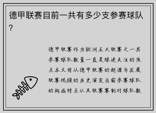 德甲联赛目前一共有多少支参赛球队？